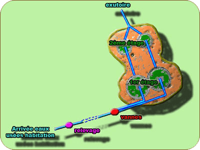 Filtre plantéde roseaux - Plan1